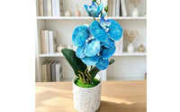 Artificial Flower in Pot Real Touch Fake Flower in Pot Potted Tabletop for Living Room, Office