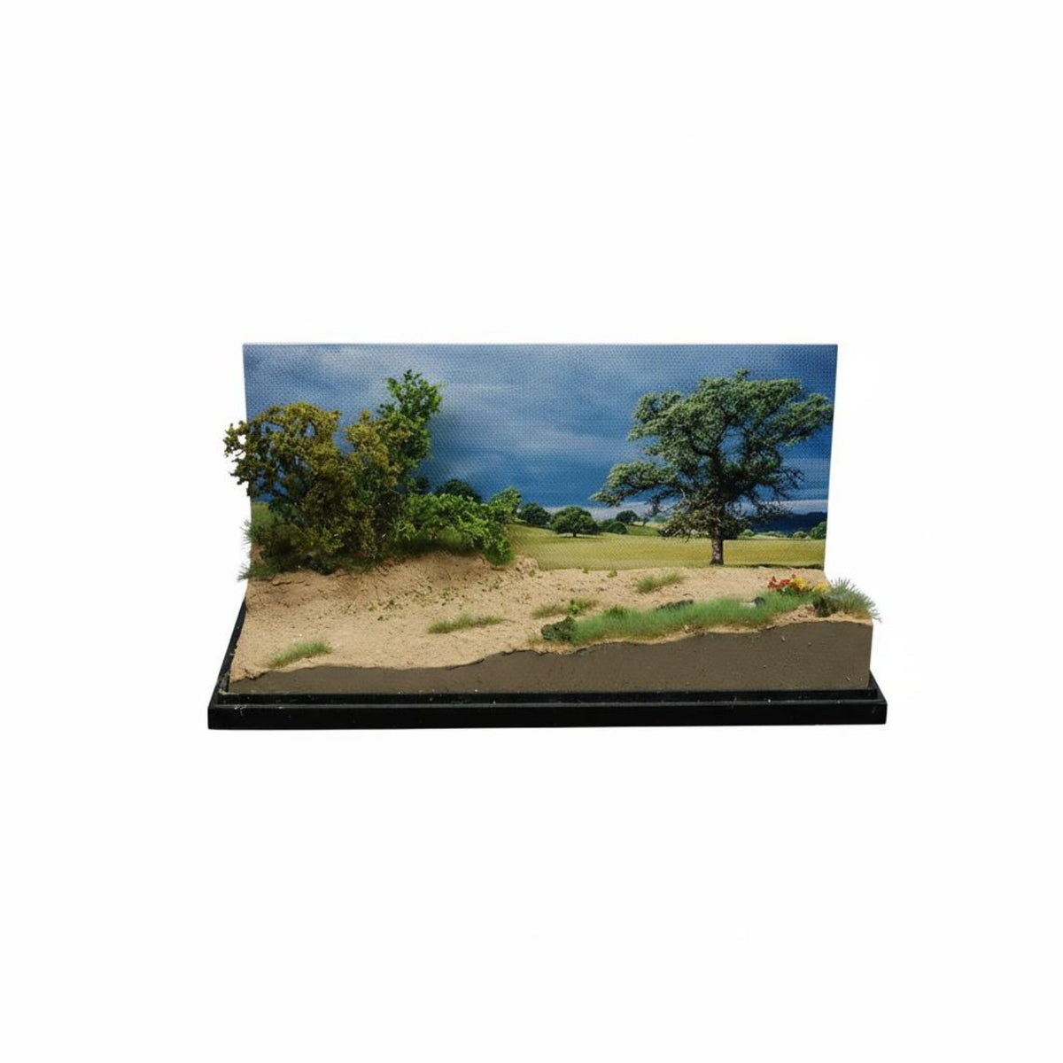 Collection Gift 1:64 Scale Miniature Scene Professional Grade Craft Wetland Grassland Scene Model Dustproof Cover Miniature Landscape Display Case for Hobbyists, Desk, Shelf