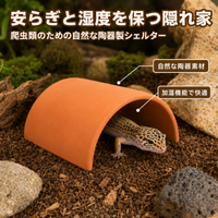 Leopard Gecko Shelter, Reptile Hideout, Wet Shelter, Terracotta, Set of 2