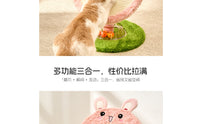 Round Cat Scratching Board Circular Base Round Cat Scratcher 2-in-1 Design Activity Center Scratcher