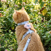 Cat Harness and Leash Set, H-shaped Adjustable Cat Walking Harness for Small Cats, 1.2m Outdoor Cat Leash for Outdoor Walking, M Size 6-14 pounds