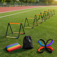 agility ladder