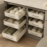 Large Capacity Dish Drainer, Under Sink Organizer, Sliding Drawer, No Installation, Minimalist Rectangular Design
