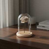 Glass Display Dome Crystal Clear View Transparent Cloche Dome Desktop Display Cover Minimalist Design House Decoration Handmade