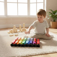 Glockenspiel with Carry Case Color-Coded Xylophone with Mallets Well-Tuned for Beginners, Teachers, Music Lessons, Classroom