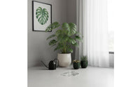 Monstera Support Easy to Use Monstera Pole Extendable Plant Climbing Pole for Potted Plants, Indoor