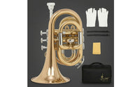 Polished Trompeta De Bolsillo Con Kit Completo Compact Trompeta De Bolsillo Con Guantes Portable Instrumento Lightweight for Rehearsals