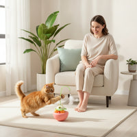 Wobble Cat Toy with Wand Wobbling Cat Wand with Floor Base Self-Playing Flexible for Cats, Home