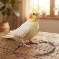 Bird Leash and Parrot Leash with Leg loop, transparent spiral Bird Training Leash, Flying Rope for Birds, Pet Bird Training Supplies Outdoor