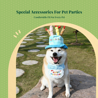 Dog Birthday Hat, Breathable Bib Scarf, Party Costume