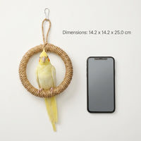 Cockatiel Toy and Budgie Toy Rope Swing Toy, Circular Climbing Toy for Small Parakeets Cockatiels, All Rope Hanging Perch without Noisy Bells