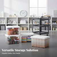 Clear Wheeled Container with Lid Large Capacity Home Organization for homeowners