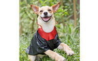 Dog Cape with Collar Black Canine Cape Glossy for Dogs, Pets