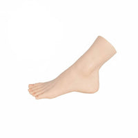 Soft Material Realistic Female Foot Lifelike Texture Silicone Foot Model Multi-Purpose Shoe Display Form Separated Toes for Photographers