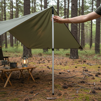Adjustable Aluminum Awning Pole with Silicone Anti-Thunder Cap for Outdoor Camping Tent Sunshade