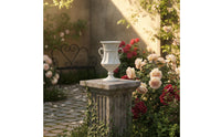Vintage Urn Planter Ornate Handles French design Vase Display Piece Decorative Urn Vase for Garden