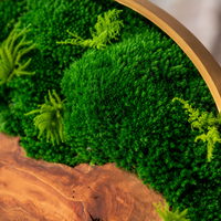 framed moss art