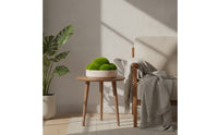 Bowl Planter Low-Profile Shallow Planter Stone-Look Decorative Pot for Living Room, Reception Desk, Hotel Reception Area