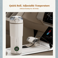 Stainless steel fast boil kettle