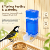 bird feeder
