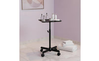 Salon Rolling Tray on Wheels with Adjustable Height, Hair Stylist Tray