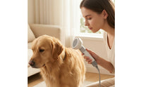 Dog Dryer Brush 2-in-1 Pet Hair Dryer with Brush Pet Grooming Blower Overheat Protection Adjustable Temperature for Dogs
