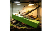 Comfortable Grip Amphibian Feeding Stick Long-Lasting Feeding Perch Mold Resistant for Herp Hobbyists