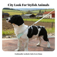 Dog Harness and Leash Set Sturdy Breathable Mesh Dog Harness Lightweight for Daily Use, Training, Night Walks