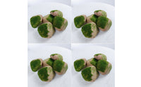 5 Pieces Fake Rock Hollow Faux Rock Realistic Garden Stone for Planter