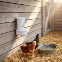 Two Mounting Options Grit and Oyster Shell Feeder Easy Installation Hanging Chicken Feeder Sturdy Construction for Hobby Farmers