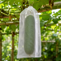 White Vegetable Garden Netting, Reusable for Vegetable Crops, Vegetable and Plant Protection in PE, 5-Year Lifespan
