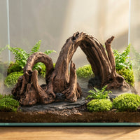 Driftwood Arch Bridge Unique Shape Driftwood Aquarium Decor Sturdy And