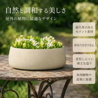 planter pots