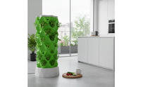 Soilless Gardening Growing Vertical Planter Multi-Layer Design Hydroponics Growing Setup Automatic Water Circulation Soilless Gardening