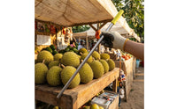 Durian Inspection Rod Stainless Steel Durian Testing Stick Farm Tool Rubber Tip Straight Shaft for Home Setting