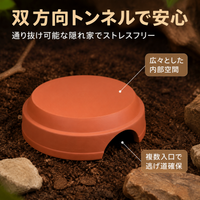 Leopard Gecko Shelter, Reptile Hideout, Wet Shelter, Terracotta, Set of 2