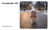 Comfortable Small Dog Winter Jacket Skin-Friendly Winter Dog Coat Easy On and Removed for Young Dogs, Daily Wear, Walking, Outdoor