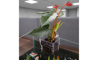 Aquascaping Decoration Hanging Aquarium Planter Easy Installation Hanging Aquarium Plant Holder Promotes Healthy Root Growth Clear Hydroponic Basket Slotted for Water Flow