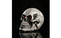 Sculpted Skull Gothic Skull with Red Eyes Realistic Decor Handmade for Desk