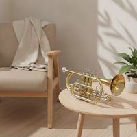 Cornet Kit Compact Cornet with Carrying Case Beginner-Friendly Brass Instrument for Students, Practice