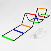 agility ladder