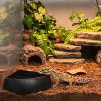 Tortoise Water Basin Reptile Feeding Dish Anti-Tipping Corner Food and Water Dish for Vivarium
