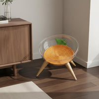 Space Capsule Cat Bed Four-Season Use Clear Acrylic Cat Bed Modern Design Clear for Balcony