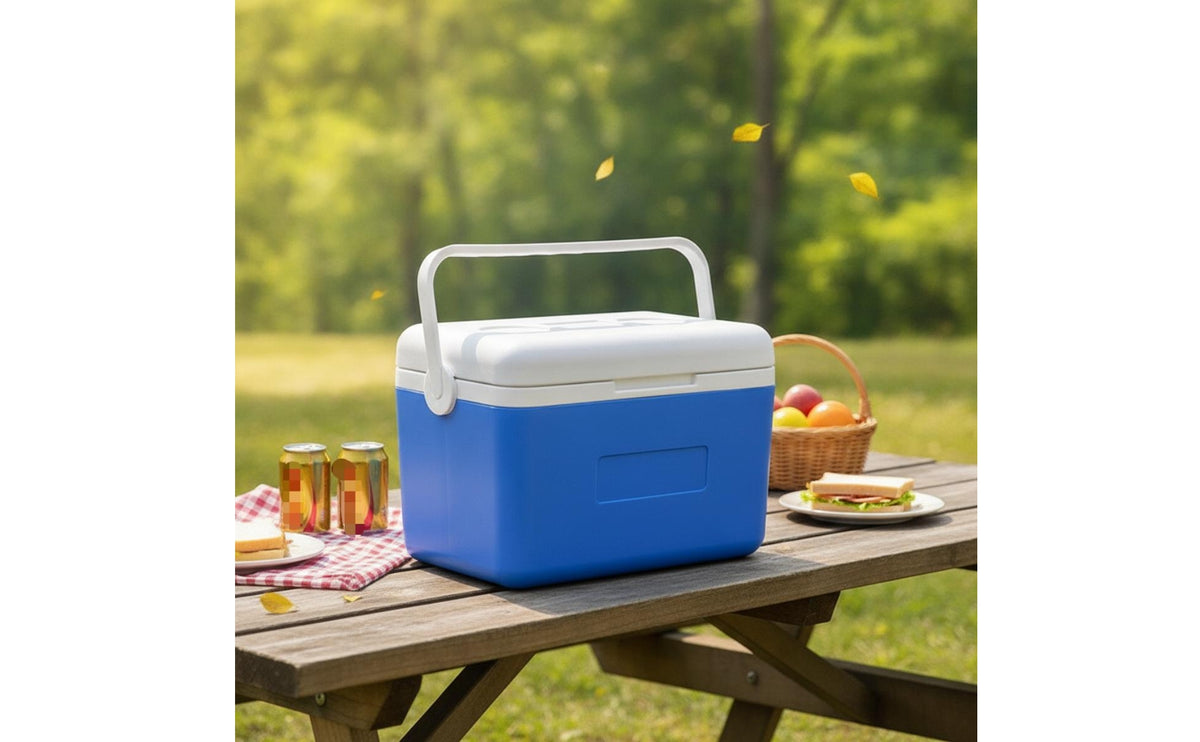 Insulated Ice Chest with Ice Packs Compact Hard Ice Chest with Ice Packs Food Grade for Campers, Journeyers, Picnics, Camping