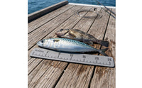 Easy to Install Catch Ruler with Adhesive Backing EVA Foam Catch Ruler Waterproof Large Numbers for Fishermen, Anglers, Boats, Kayaks