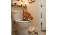 Cat Toilet Training Tool Material Reusable Cat Toilet Training System Fits Most Toilets for Cats