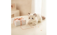Stuffed Cat Furry Stuffed Cat Kitten Stuffed Toy Collectible Huggable for Collectors, Desk Decoration, Shelf Display