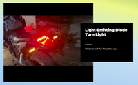 12V waterproof LED turn signal