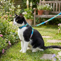 Adjustable Cat Harness and Leash Set, Escape Proof Nylon Vest Harness for Cats, H-Style Kitten Outdoor Gear, No Pull Small Pet Walking Supplies