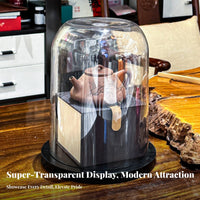 Cylindrical Debris Cover Debris Proof Acrylic Display Dome Desktop Display Case High See-Through Quality Collectible Showcase